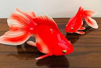 Amazon.co.jp: オールドノリタケ Noritake ノリタケ 金魚